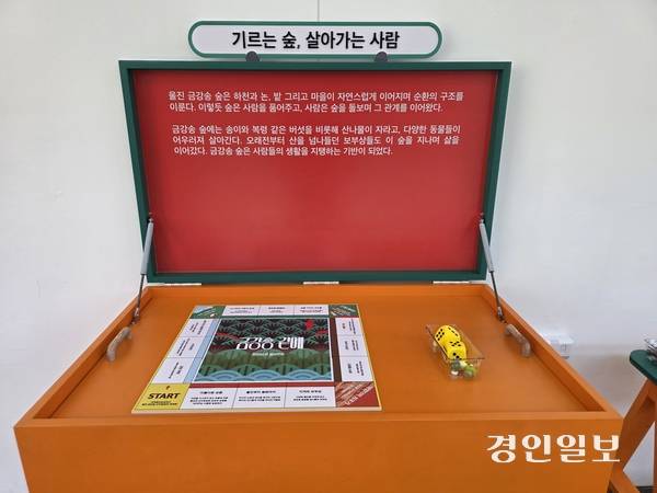 국립농업박물관 테마전 ‘금강송 곁에’ 전시 모습. 2026.4.17 /구민주기자 kumj@kyeongin.com