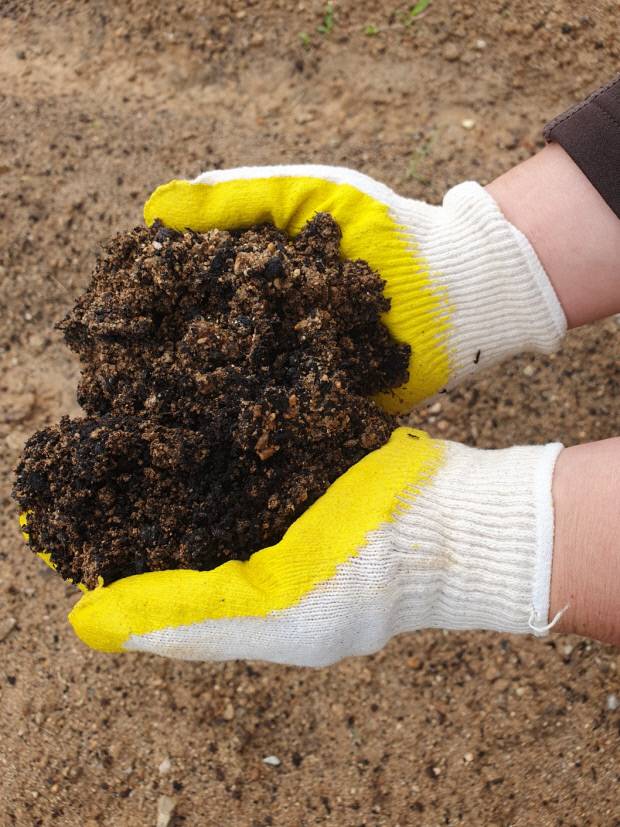 거름이 잘 먹은 토양.