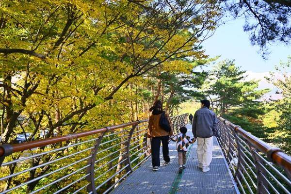 ◇설악향기로 전경.