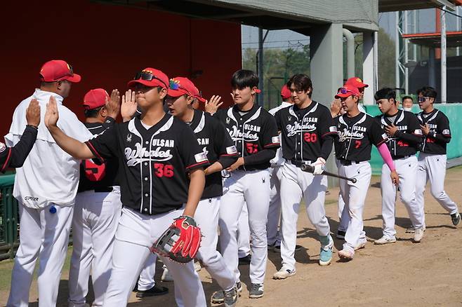 울산 선수들이 경기 종료 후 승리를 자축하며 하이파이브를 하고 있다. 울산웨일즈는 19일 한화이글스 2군과의 퓨처스리그 2차전 김동엽과 최보성의 홈런에 힘입어 한화에 6대4로 역전승을 거뒀다. 울산웨일즈 제공