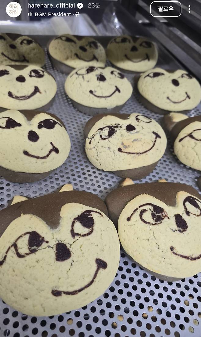 대전의 유명 베이커리 하레하레가 판매 중인 '늑구빵'. 늑대 '늑구'를 본떠 만든 제품으로 온라인에서 화제를 모으고 있다. 하레하레 인스타그램 갈무리