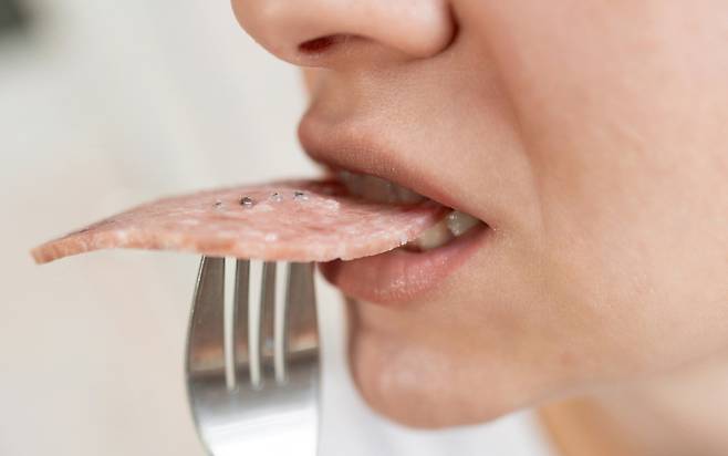 가공육은 대장암 발병 위험을 높인다. /클립아트코리아