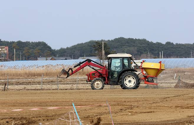 봄기운이 완연한 지난 2월23일 강원 강릉시 경포동에서 농민이 밭에 비료를 주고 밭을 가는 농사 준비로 바쁜 모습이다. 연합뉴스