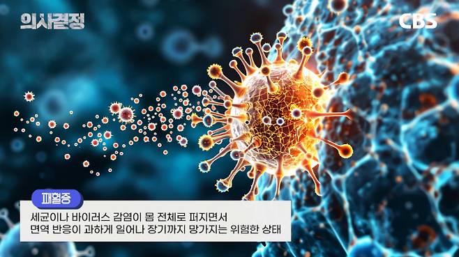 '의사결정' 정재훈 약사 편 유튜브 캡처