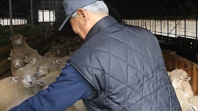 아무도 찾지 않던 폐허를 일깨운&nbsp;거인(巨人)의 뒷모습에는 세상이 정한 은퇴의 매뉴얼을 거부한 이의 단단한 고집이 서려 있다.&nbsp;골라듄다큐 화면 캡처