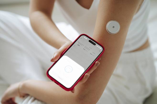 클립아트코리아