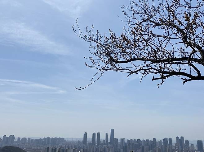 ▲&nbsp;청량산에서 본 인천 연수구 송도국제도시 전경/인천일보DB