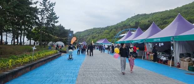 제46회 진도 신비의 바닷길 축제 현장에서 유모차를 동반한 가족 단위 관광객들이 보행 전용 거리에서 안전하게 이동하고 있다.