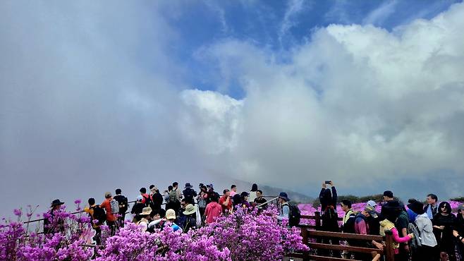 지난 18일, 구름 사이로 드러난 참꽃 군락지 전망대 모습.