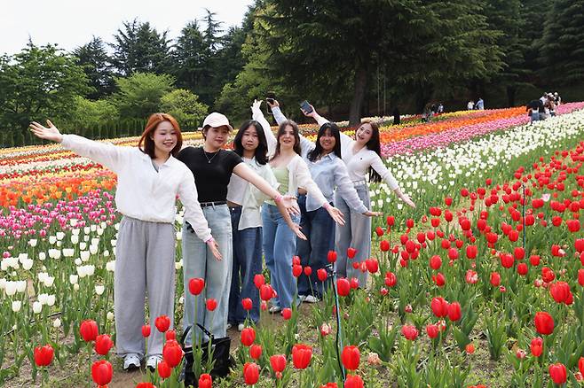 ▲ 20일 대구 달서구 이월드 튤립가든을 찾은 인재대학교 교환학생들이 형형색색 튤립들 사이에서 포즈를 취하고 있다. 튤립을 테마로 한 특별 콘텐츠 '튤립트래블'은 4월 30일까지 진행된다. 권남인 기자 kni@kyongbuk.com