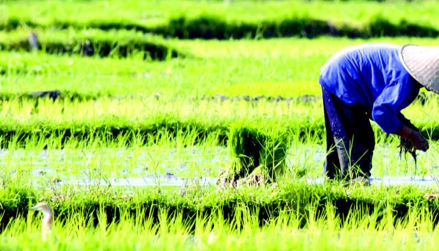 /클립아트코리아/