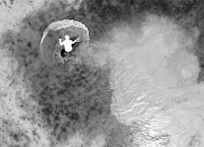 숯이라는 물질을 통해 생명과 순환의 목소리를 들려준 이배 작가. 그가 숯을 통해 보여준 무한한 가능성의 여운이 오래도록 가슴에 남을 것 같다. /이배 <기다리며> 포스터&nbsp;