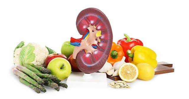 신장은 한 번 손상되면 회복이 어려워 선제적인 관리가 중요하다｜출처: 게티이미지