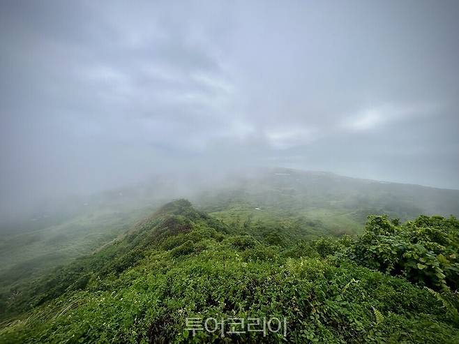 타포차우산 정상에서 바라본 풍경. 안개에 가려진 시야 속에서도 능선과 숲의 윤곽이 드러난다./ 사진- 박은하 기자