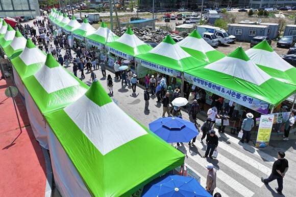 참드릅 여행 축제장을 찾은 관광인파  [사진=순창군 ]