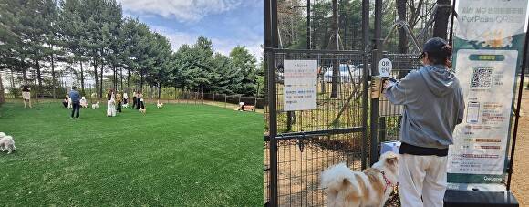 정발산 공원 내 새롭게 단장된 대형견 전용 반려견 놀이터와 연중무휴 24시간 안전하고 편리하게 시설을 이용할 수 있도록 입구에 설치된 'QR인증 기반 자동출입 시스템'. [사진=고양시]