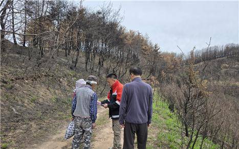 The Korea Forest Service’s Yeongju National Forest Management Office caught an individual illegally foraging wild greens during a special crackdown. [KOREA FOREST SERVICE]