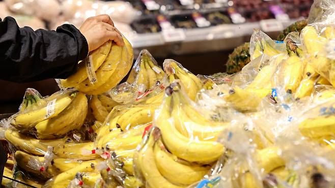 바나나 관련 이미지. 기사와 직접적 관련 없음. /사진=뉴스1
