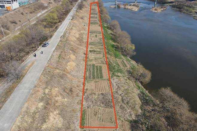 금호강 불법 경작지. 대구 달성군 제공