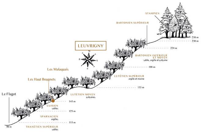 프랑스 오르방 포도밭 분석. 홈페이지