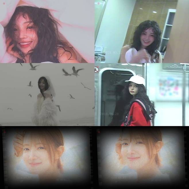 티브이데일리 포토