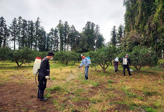 제주도 귀농·귀촌 실습 모습 [제주도 제공.재판매 및 DB 금지]