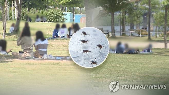 나들이객 진드기 매개 전염병 주의해야 (CG) [연합뉴스TV 제공]