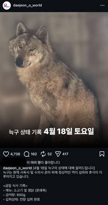 대전오월드가 SNS를 통해 늑구의 상태를 알려 홍보하고 있다. (출처=대전오월드 공식 인스타그램)
