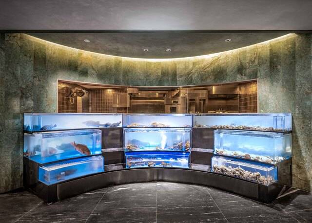 한화호텔앤드리조트의 외식 사업을 전개하는 자회사 한화푸드테크는 21일 서울 종로구 KT광화문빌딩 웨스트(WEST) 15층에서 오는 24일 '더 플라자 다이닝(THE PLAZA DINING)'을 연다. 이곳은 경복궁·청와대·북악산 등 서울의 역사적 명소들을 한눈에 조망할 수 있다. /한화호텔앤드리조트 한화푸드테크