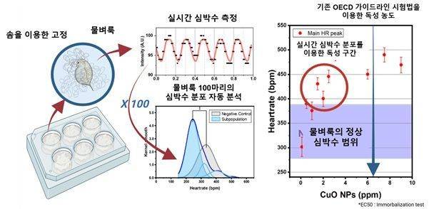 물벼룩을 고정한 뒤 고속 이미징으로 심박을 측정하고, 다수 개체의 심박수 분포를 분석해 독성 반응을 평가하는 개요도다. 산화구리 나노입자 농도에 따라 심박수가 변화하며, 기존 시험법으로 어려웠던 저농도 독성까지 확인할 수 있음을 보여준다. 연구팀 제공