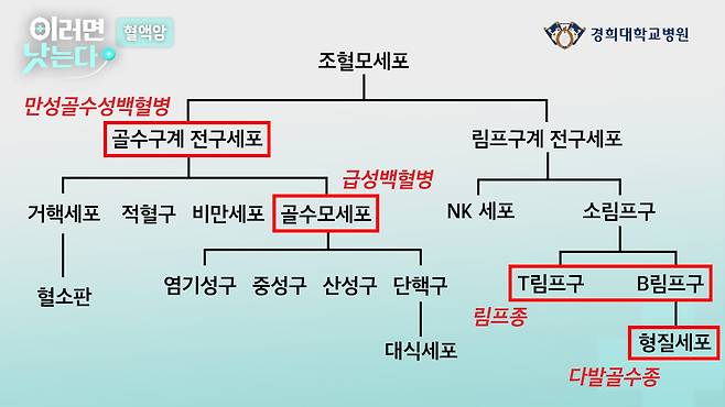 /조선일보 의학·건강 유튜브 '이러면 낫는다'