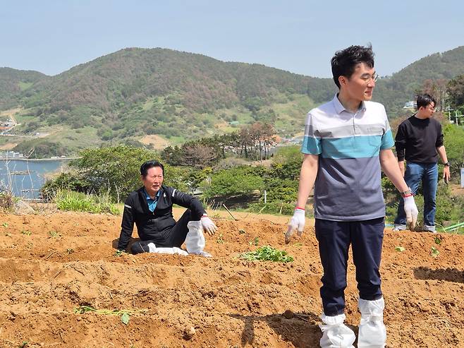 21일 경남 통영시 욕지면에서 더불어민주당 정청래 대표와 김남국 대변인이 고구마 재배 민생 체험을 하고 있다./독자 제공