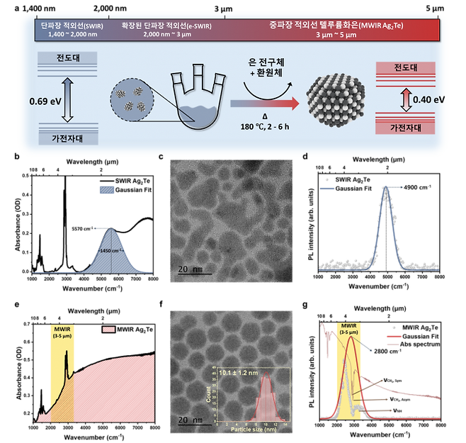 텔루륨화은 양자점의 후성장 과정과 결과. 위쪽 모식도는 작은 양자점 알갱이를 씨앗으로 삼아 180도에서 재료를 추가해 더 크게 키우는 과정을 보여준다. 아래쪽 전자현미경 사진과 그래프를 보면&nbsp;알갱이 크기가 약 6.4nm에서 10.1nm로 커지면서 감지할 수 있는 빛의 파장이 단파장 적외선에서 중파장 적외선으로 넓어졌다. 반응 시간을 2시간에서 6시간 사이로 조절하는 것만으로 감지 파장을 원하는 대로 바꿀 수 있다. 정광섭 교수&nbsp;제공