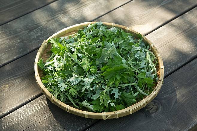 봄나물은 공원이나 하천 주변처럼 햇볕이 잘 드는 곳에서는 어디서든 쉽게 발견된다.​/사진=클립아트코리아