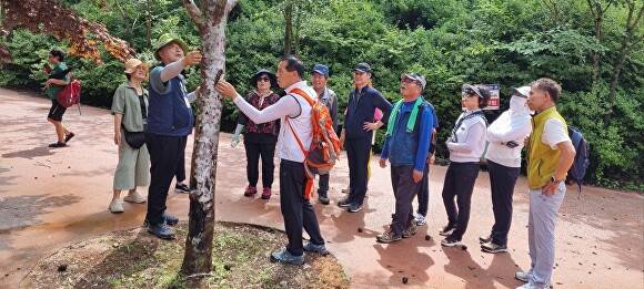 와룡자연휴양림 산림치유 프로그램 참여자들  [사진=장수군 ]