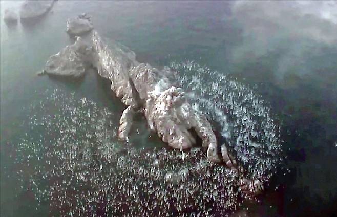 < 집속탄 ‘섬 초토화’ > 북한 미사일총국이 지난 19일 개량된 지상대지상전술탄도미사일 ‘화성포-11라’형의 전투부(탄두) 위력평가를 위해 시험발사를 진행한 모습.  평양 노동신문·뉴스1