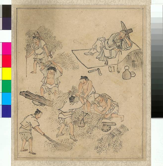 단원 김홍도(金弘道·1745∼1806년경)가 그린 풍속도첩의 타작 장면. 땀흘려 수확하는 농부들과 이들을 한가롭게 지켜보는 양반이 대조적 구도로 그려져 있다. 국립중앙박물관