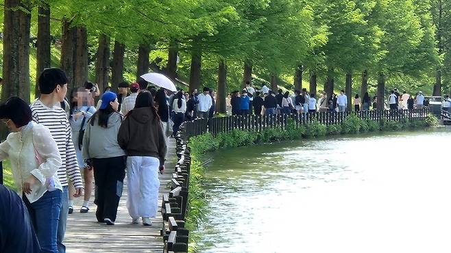 담양 대나무축제가 열린 지난해 5월 4일, 관광객들이 담양 관방제 천변을 따라 걷고 있다. ⓒ시사저널 정성환
