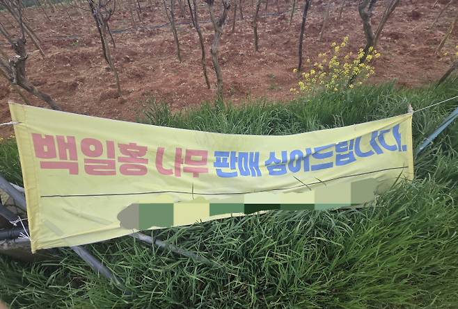 22일 오전 전남 무안군 망운면 내 한 마을 입구에 '백일홍 나무 판매·식재'라고 적힌 현수막이 내걸려 있다. /임지섭 기자 ljs@namdonews.com