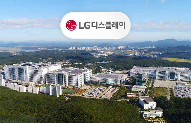 그래픽=박혜수 기자