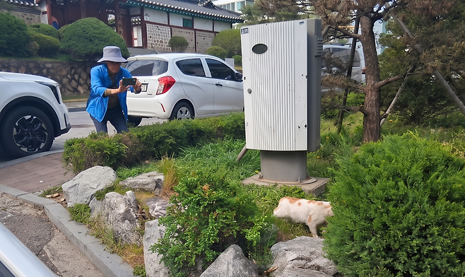 정기상 동네 고양이 모니터링 활동가가 인천 계양구 한 주택가에서 고양이의 서식 현황을 살피고 있다. (한국노인인력개발원 제공)