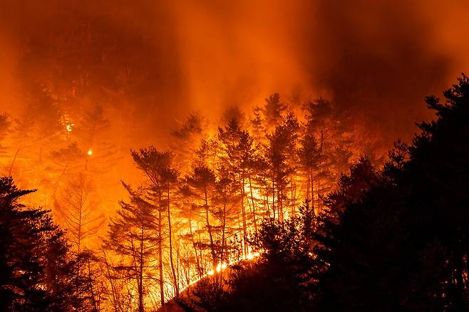 야간기온 상승 속도가 빨라지면서 밤이 돼도 산불이 진정되지 않고 24시간 재난으로 변화하고 있다.&nbsp;(사진 클립아트코리아)/뉴스펭귄