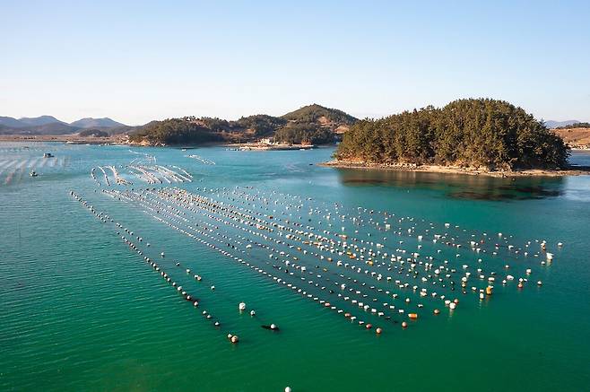 2026년 4월 기준, 관측 자료를 종합하면 한반도 해역의 표층수온 누적 상승폭은 1.5°C로 집계된다. 사진은 독자 이해를 돕기 위한 이미지. (사진 클립아트코리아)/뉴스펭귄