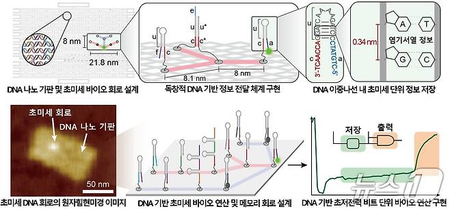 DNA 기반 초미세⋅초저전력 연산이 가능한 바이오 메모리 회로 구현 설명도(KAIST 제공) /뉴스1