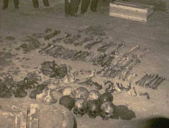 1950년 우키시마호 인양 당시 수습된 대규모 유골들이 당시 현장 바닥에 놓여 있다. 후세 유진 제공