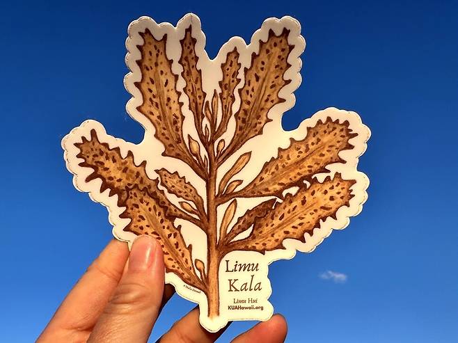 2022년 리무의 해를 위해 리무 후이 활동가들이 제작한 리무 칼라 스티커. 이솔 제공