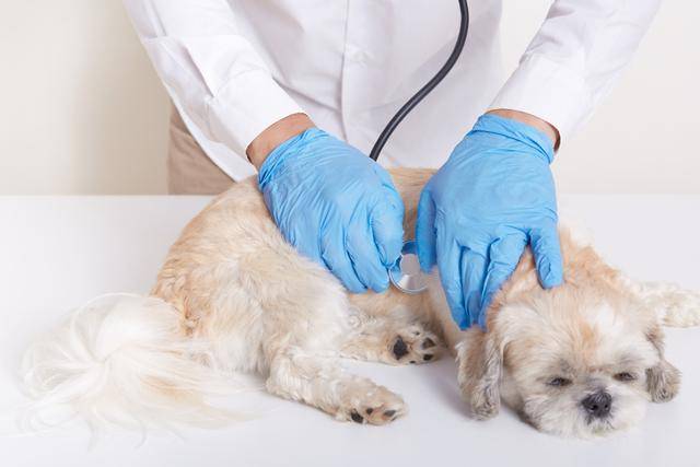 게티이미지뱅크