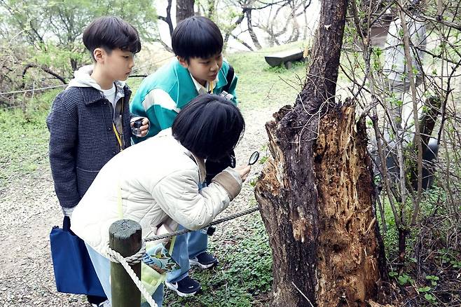 소중 학생기자단이 서울시 강동구에 있는 고덕수변생태공원을 찾아 고덕동 생태·경관보전지역의 생태계를 살폈다.