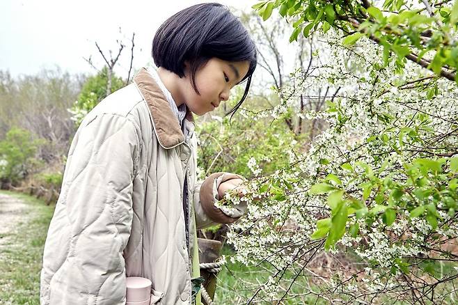 숲의 가장자리의 경사지대 또는 바위지대에서 자라는 조팝나무의 꽃을 관찰한 김아인 학생기자.
