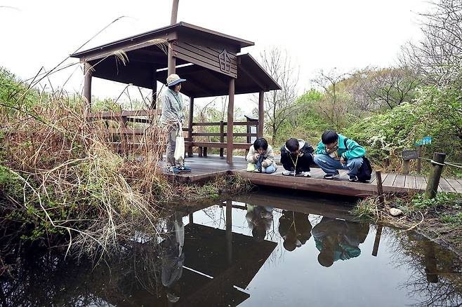 잠자리·개구리 등과 더불어 물속에 사는 다양한 곤충을 관찰할 수 있는 수서곤충 학습장을 찾은 소중 학생기자단.